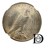 1923 United States Peace Dollar Silver Coin NGC MS 62
