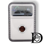 NGC holder reverse with certification hologram, 1900 SPB 1/4 Kopek