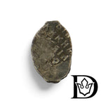 1533-1584 Russia 1 Kopeck Ivan IV Vasilyevich Silver Coin NGC Genuine